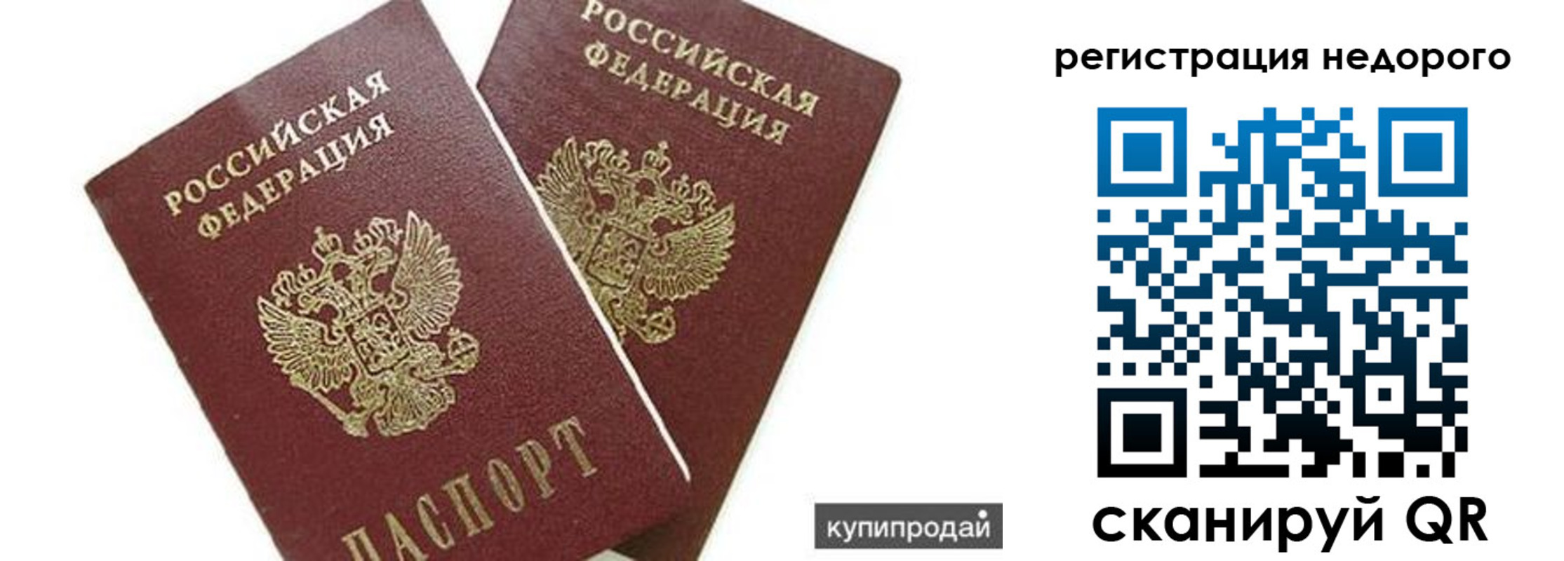 прописка поиск в Кингисеппе